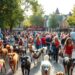 Pet Parade