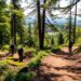 Trail Cleanup