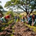 Tree Planting